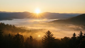 Golden Mist Sunrise