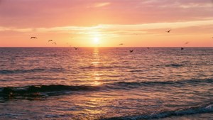 Golden Ocean Sunset