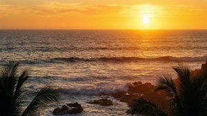 Golden Ocean Sunset