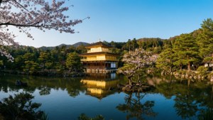 Golden Pavilion Glow