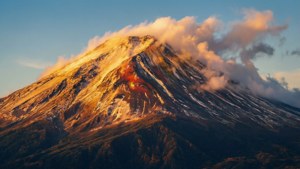 Golden Peak Majesty