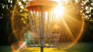 Golden Rays Basket