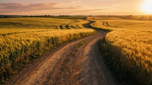 Golden Road to Sunset