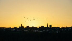 Golden Skyline