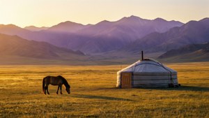 Golden Steppe at Dusk