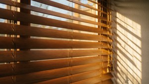 Golden Striped Shadows