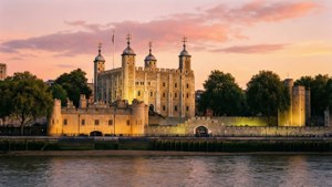 Golden Sunrise at the Tower