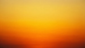 Golden Sunset