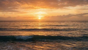 Golden Sunset Gratitude