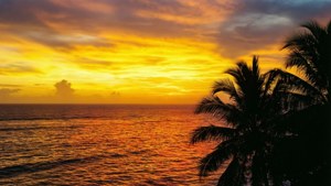 Golden Sunset Ocean