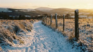 Golden Sunset Path