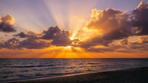 Golden Sunset Serenity