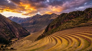 Golden Sunset Terraces