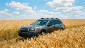 Golden Wheat Field