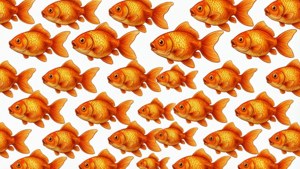 Goldfish Seamless Pattern