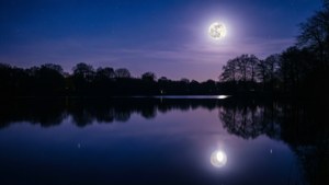 Gooimeer Night Serenity