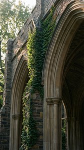 Gothic Arches Morning Light