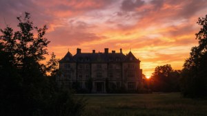 Grace Field Sunset