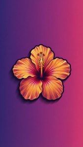 Gradient Tropical Single