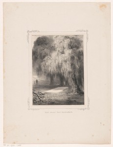 Graf van Napoleon in Sint Helena