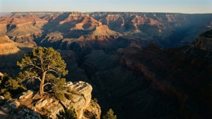 Grand Canyon Overlook