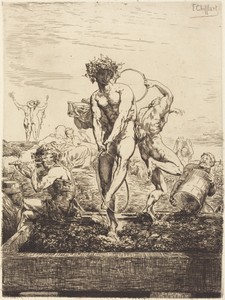 Grape Harvest