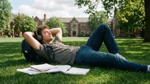 Grass Field Daydream