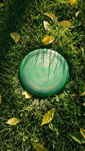 Grass Frisbee