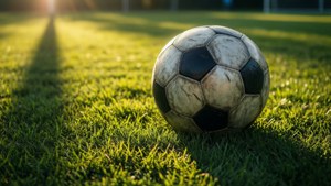 Grassland Soccer Ball