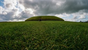 Grassy Approach