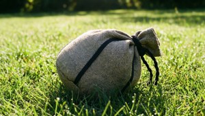 Grassy Field