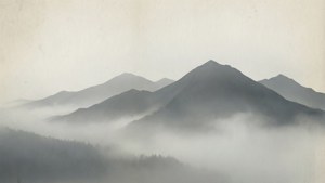 Gray Mountain Fog