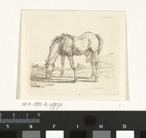 Grazend paard naar links
