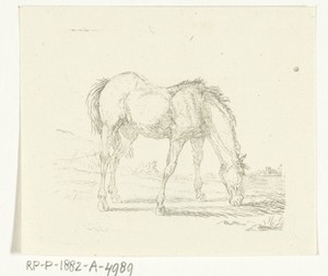 Grazend paard naar rechts