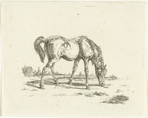 Grazend paard naar rechts