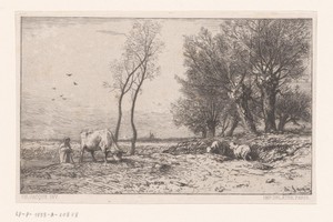 Grazende koe en schapen bij knotwilgen