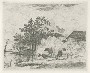 Grazende koeien bij beek