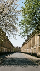 Great Pulteney Street Blossoms