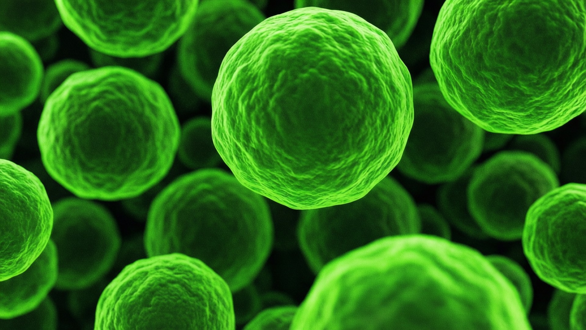 Green Cellular Abstract by Wallpapers.art Studio