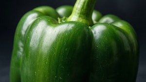 Green Pepper Texture