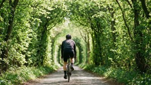 Green Tunnel