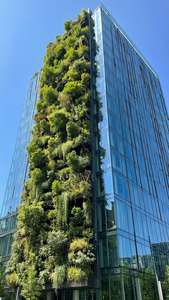 Green Vertical Garden