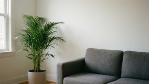 Grey Minimalist Lounge