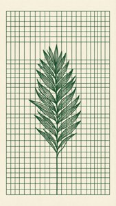 Grid and Plant