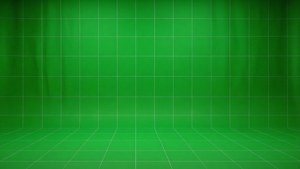 Grid Overlay Green Screen