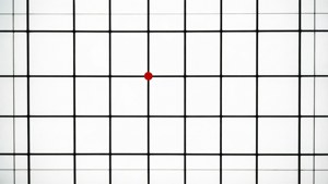 Grid with Red Dot