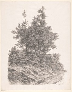 Groep bomen bij boerderij