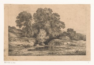 Groep bomen bij een poel