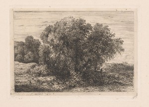 Groep bomen met een figuur