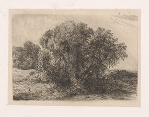 Groep bomen met een figuur